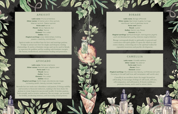 The Witch's Apothecary