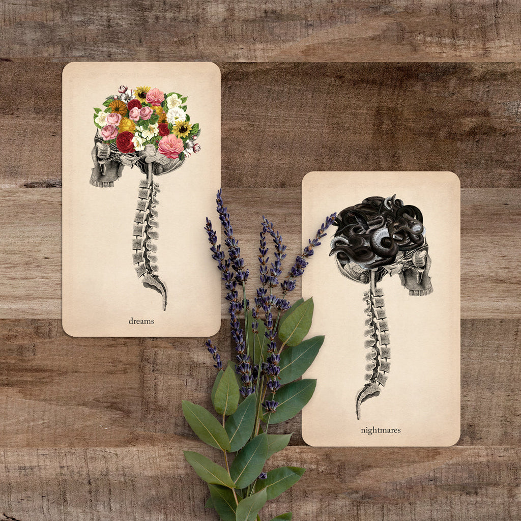 Oracle of Oddities: Oracle Deck