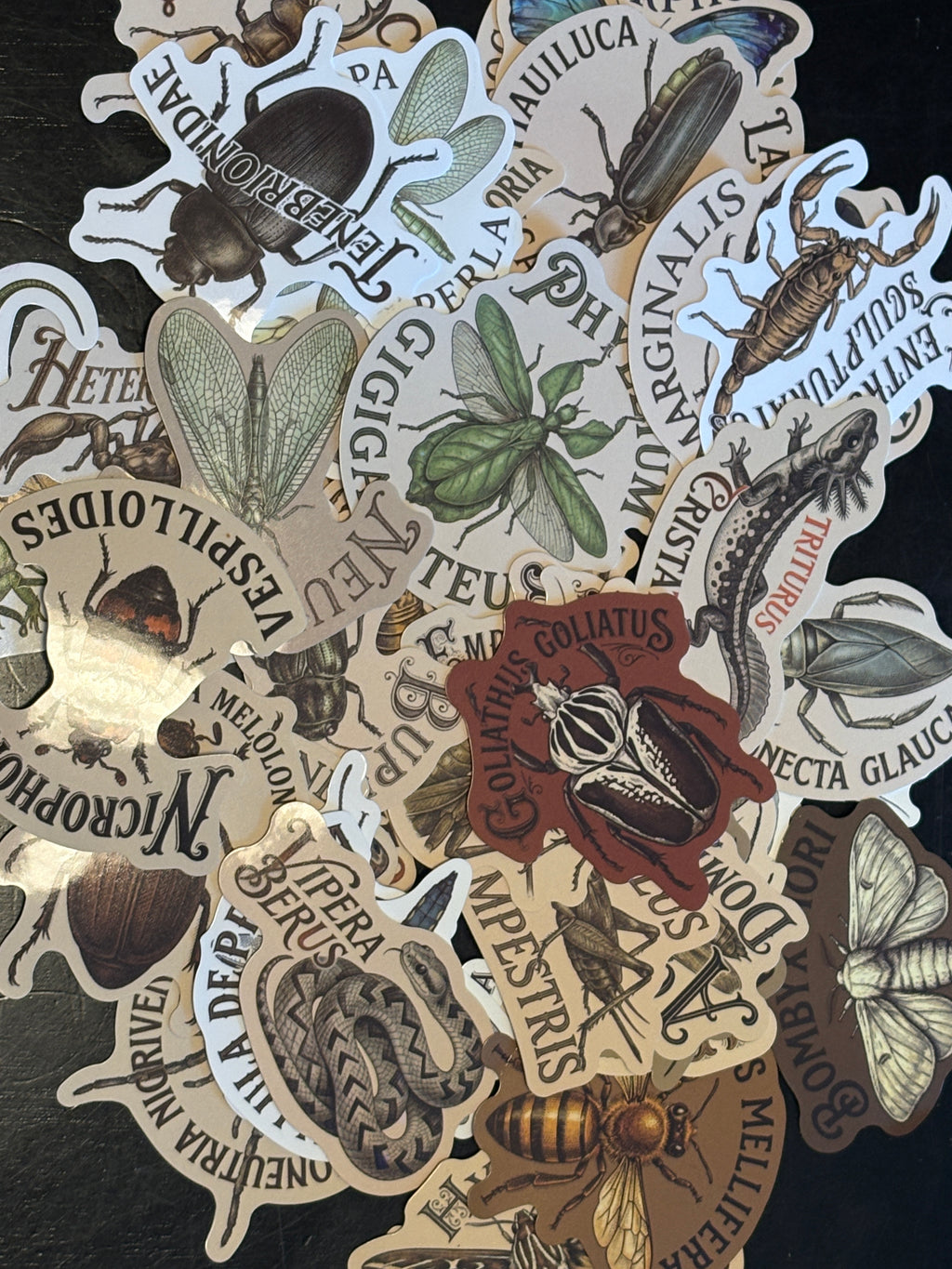Magical Stickers