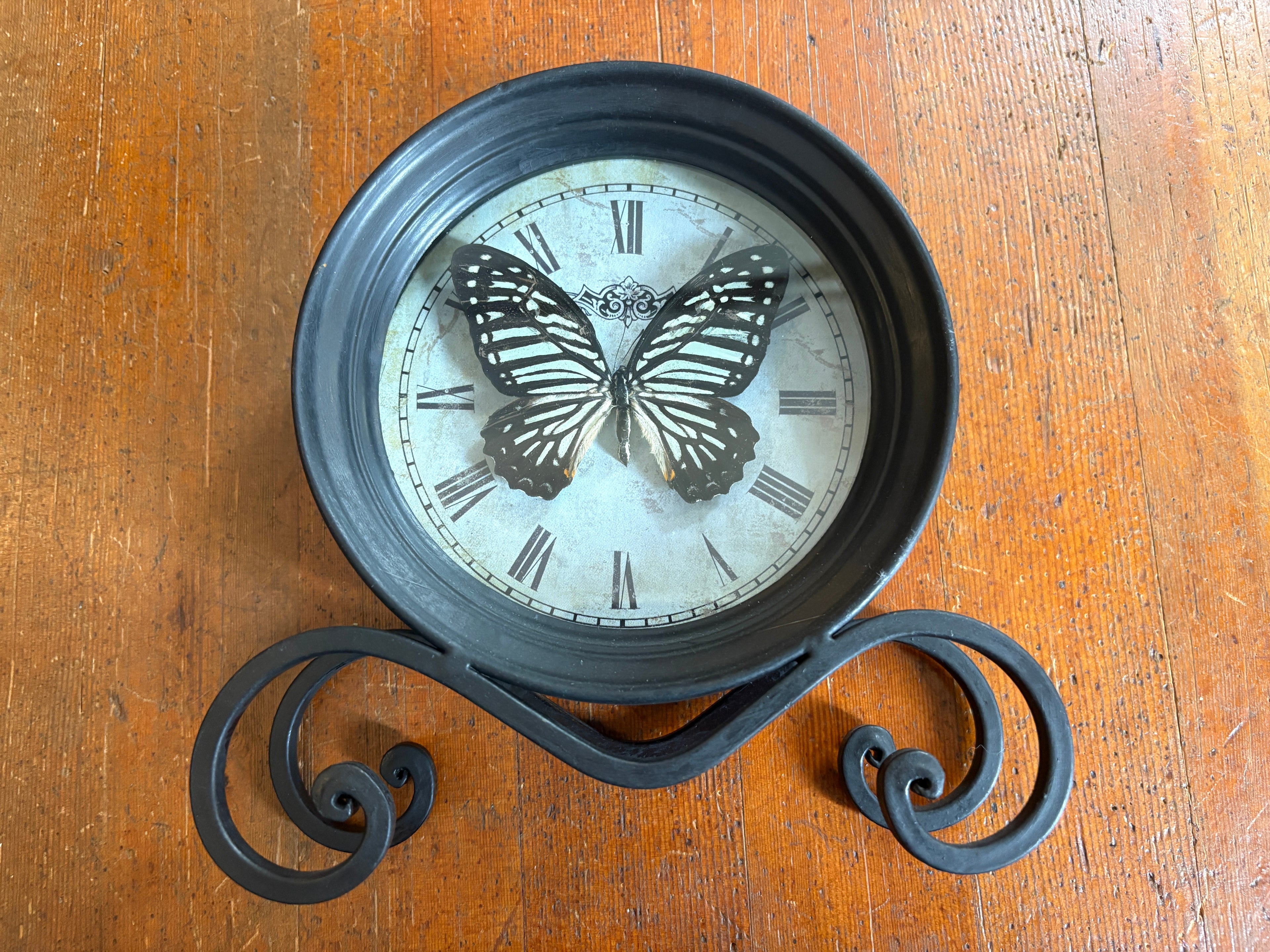Dead Petal Studio –Great Zebra Butterfly Antique-Style Clock Framed Specimen