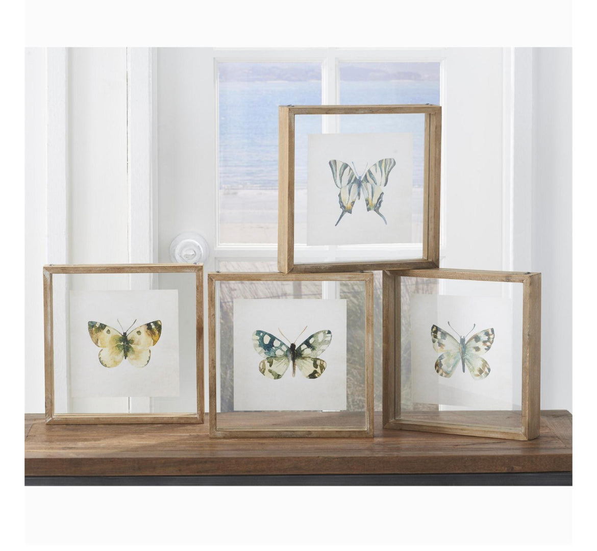 Whitewashed Shadowbox Framed Butterfly Print