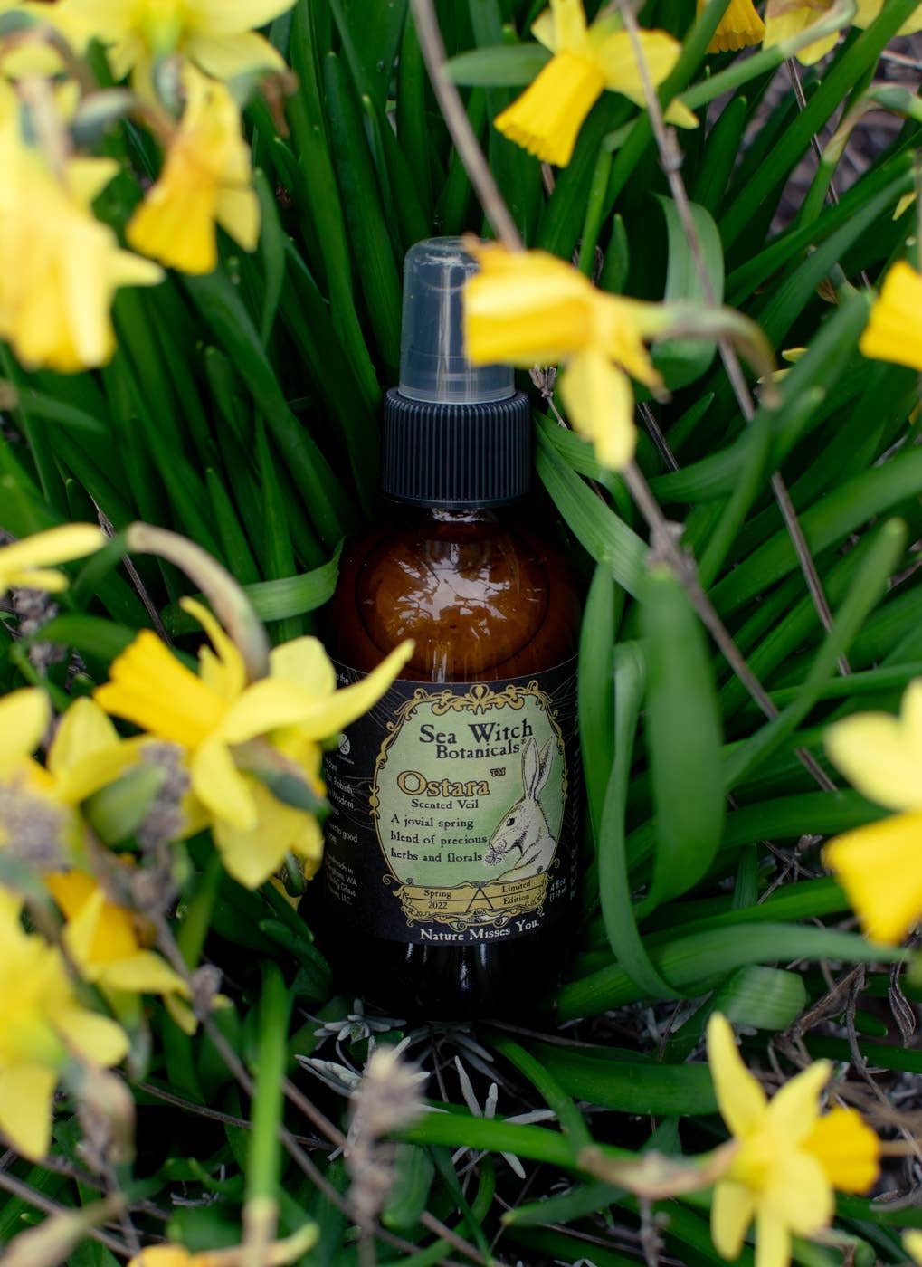 Sea Witch Botanicals - Spray Wheel of the Year