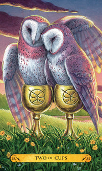 Tarot of the Owls Deck/Set