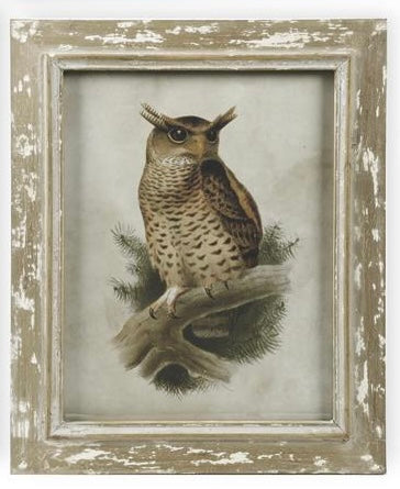 Distressed Wood Framed Owl