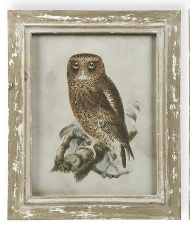 Distressed Wood Framed Owl