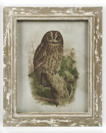 Distressed Wood Framed Owl