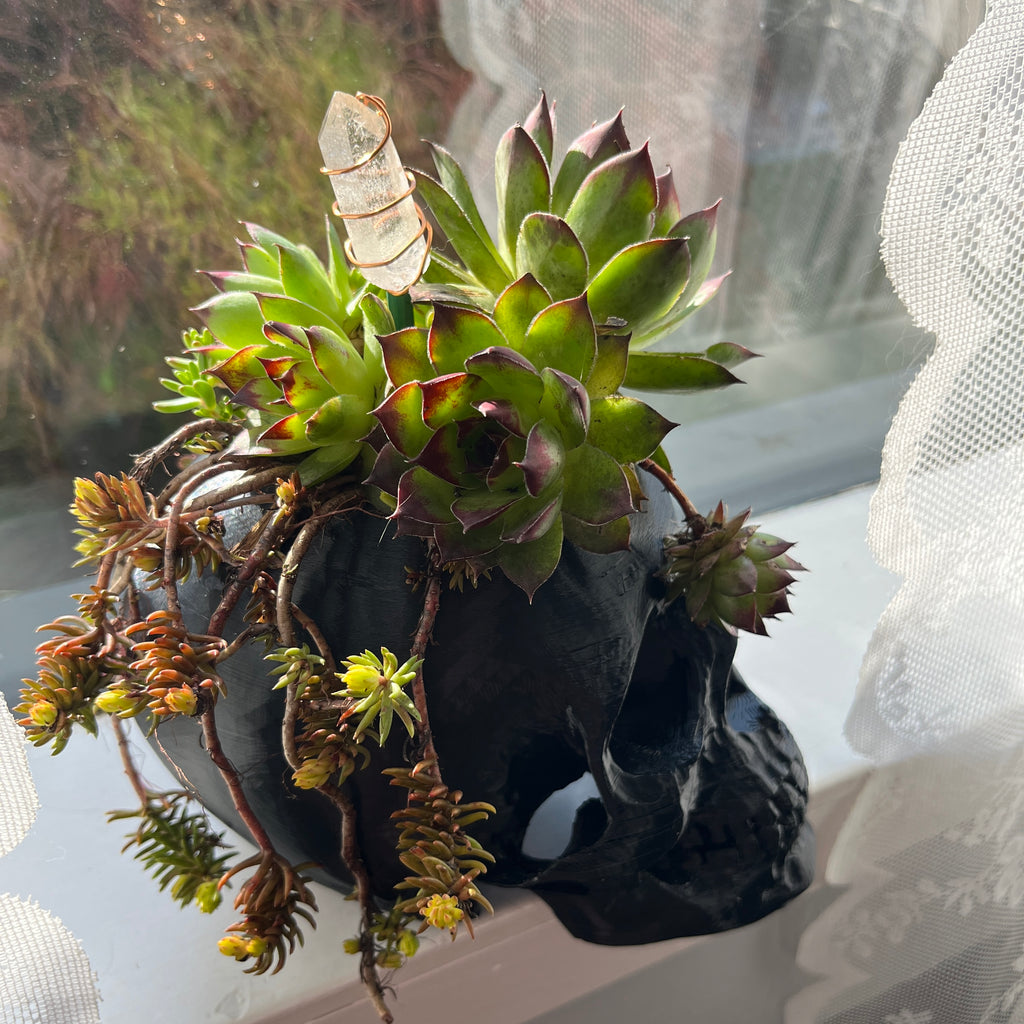 Skull Planter
