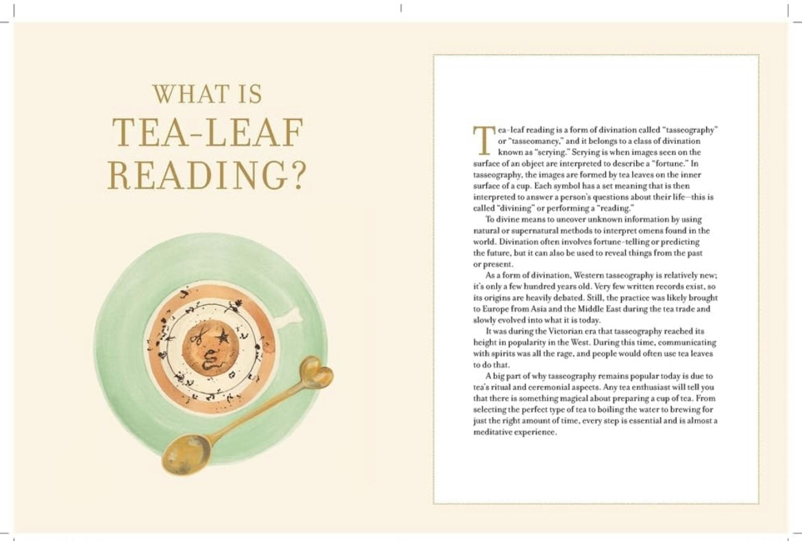 Harney & Sons How to Read Tea Leaves: A Card Deck and Guidebook for Divination