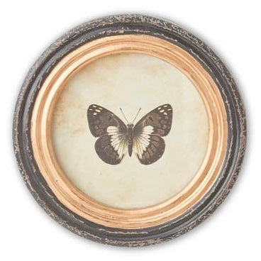Black Round Framed Butterfly Prints w/ Blk & Gold