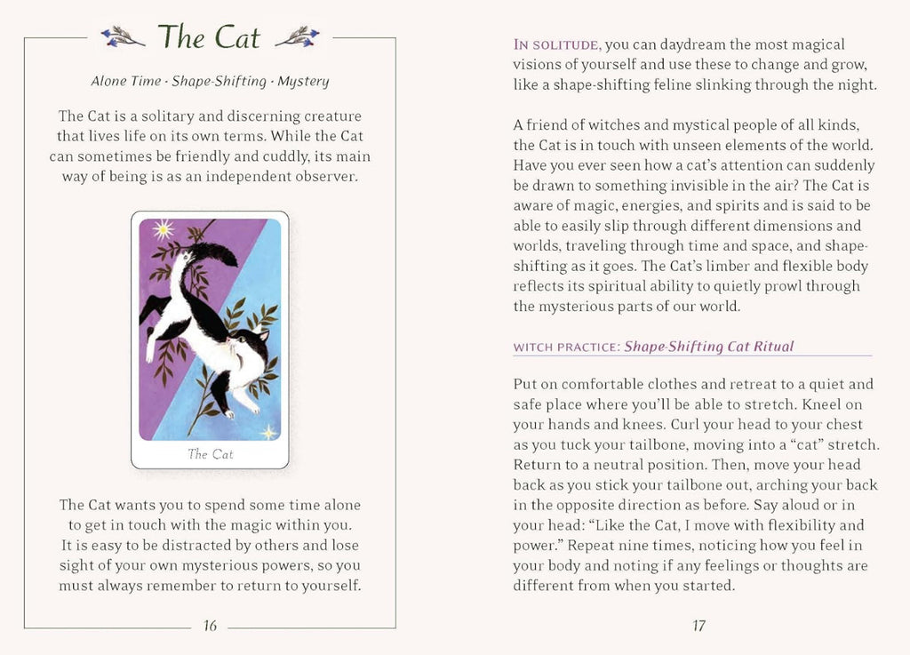 The Little Witch's Oracle Deck: Symbols, Spells, and Rituals for the Young Witch