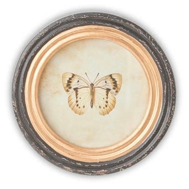 Black Round Framed Butterfly Prints w/ Blk & Gold