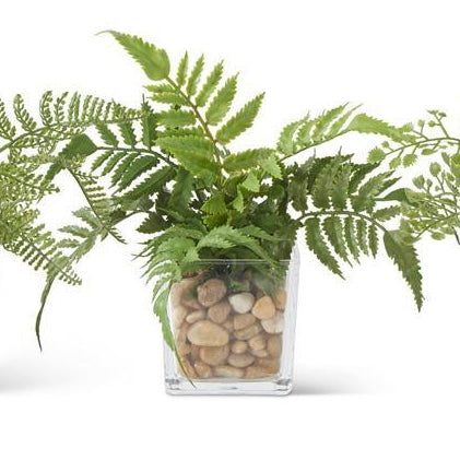Ferns In Square Glass Vase w/Pebbles