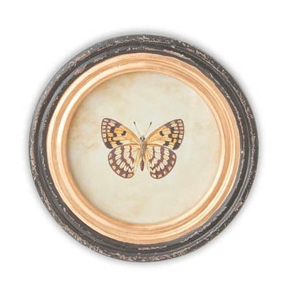 Black Round Framed Butterfly Prints w/ Blk & Gold