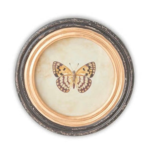 Black Round Framed Butterfly Prints w/ Blk & Gold
