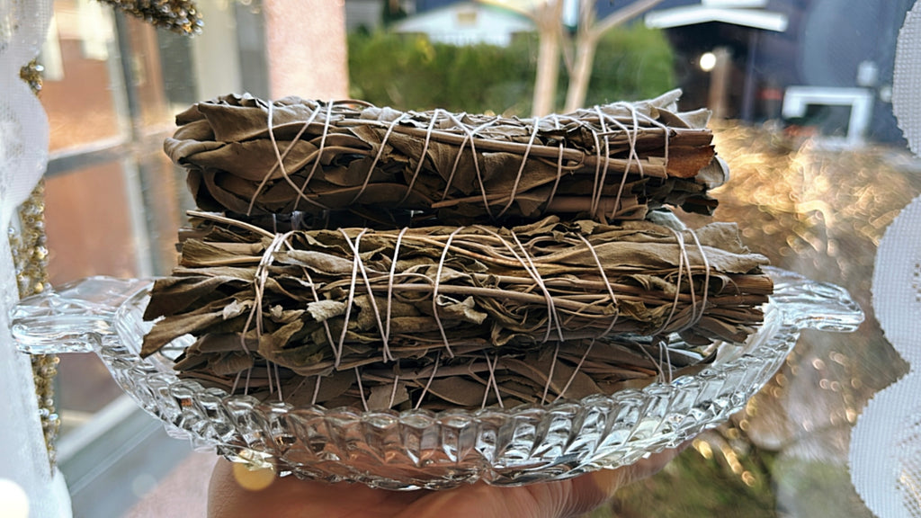 White Sage Cleansing Stick - 4” Long