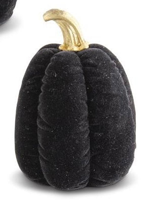 Black Velvet Pumpkins w/Gold Stems