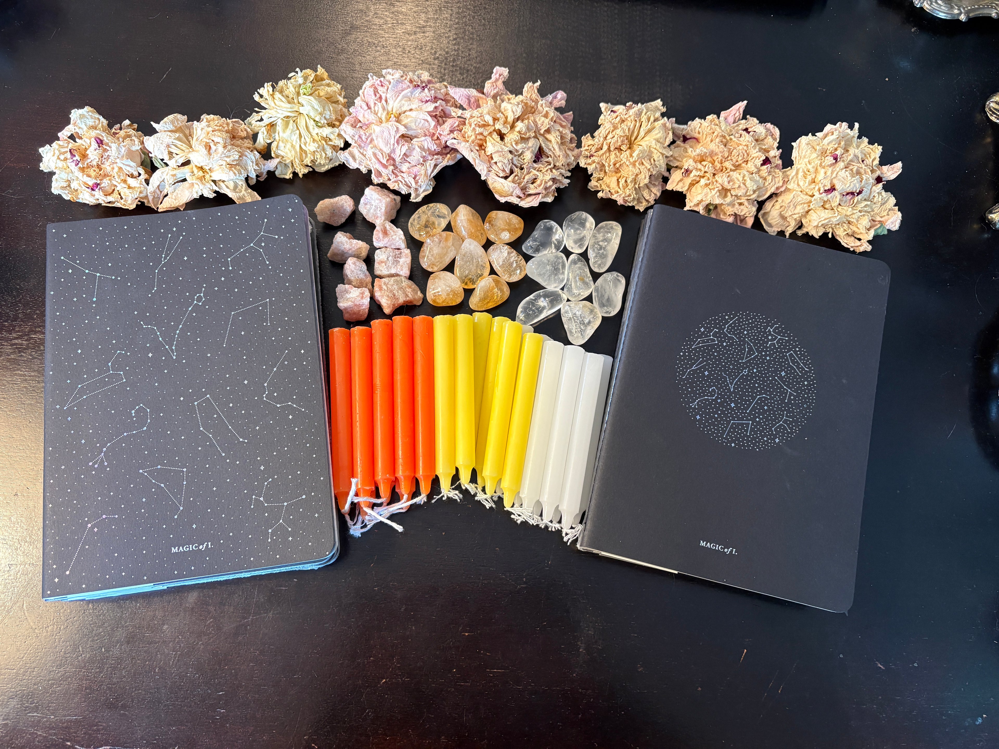 Lions Gate A5 ZODIAC NOTEBOOK