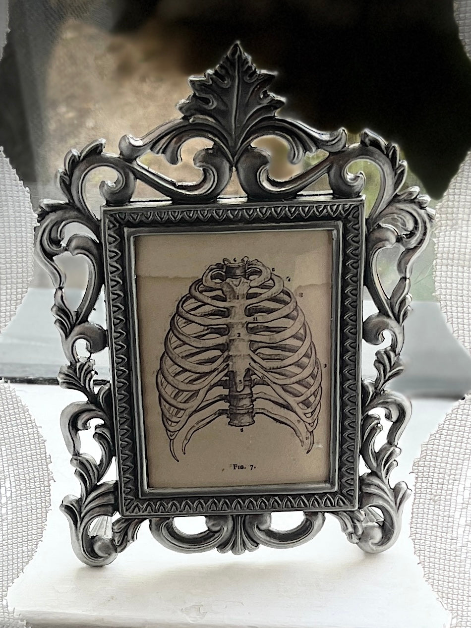 Pewter Ornate Frame 3x4”