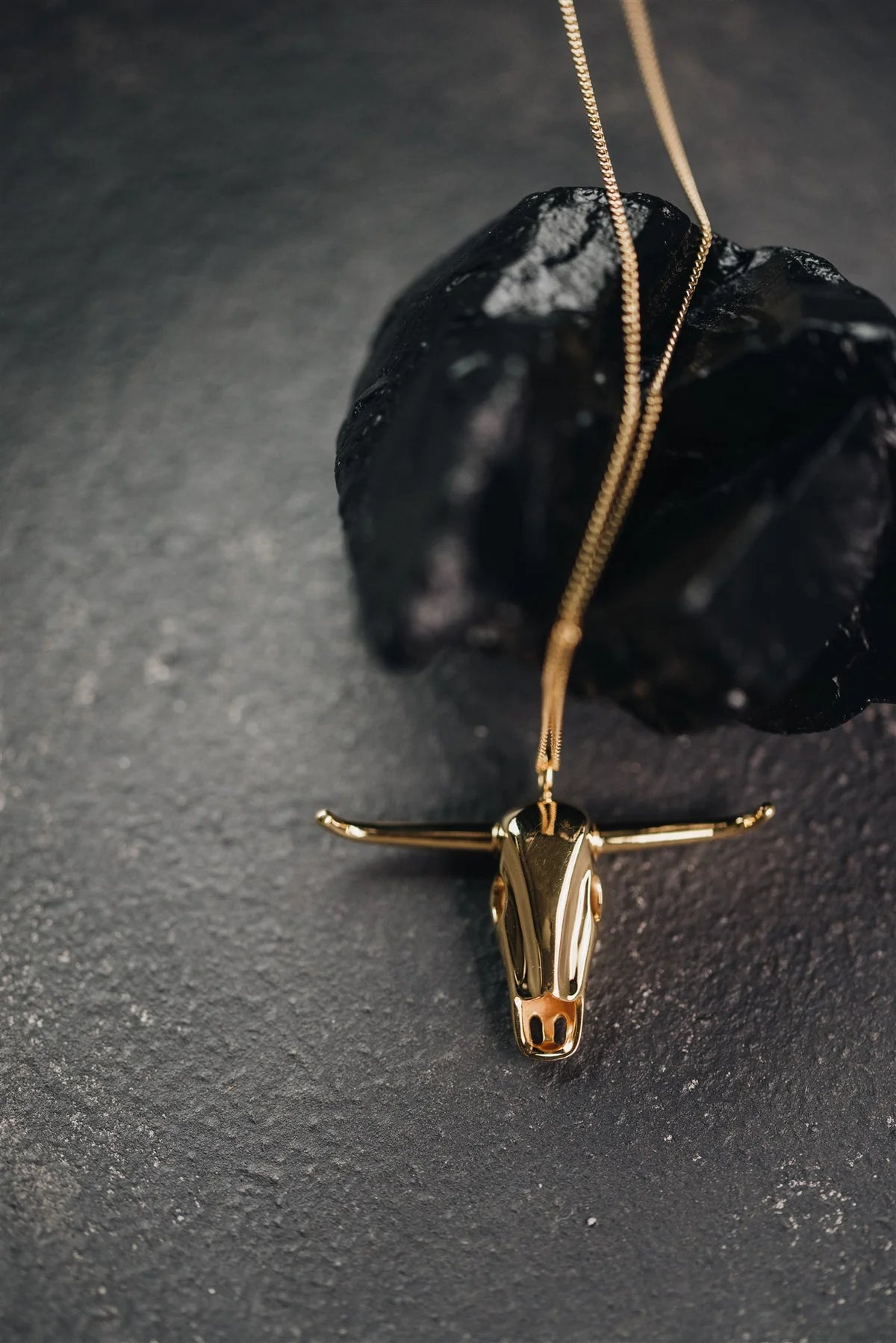 P + G No Bull Pendant Collection