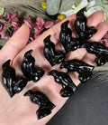 Black Obsidian Raven 1”