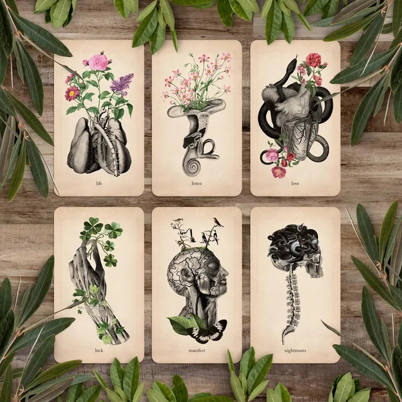 Oracle of Oddities: Oracle Deck