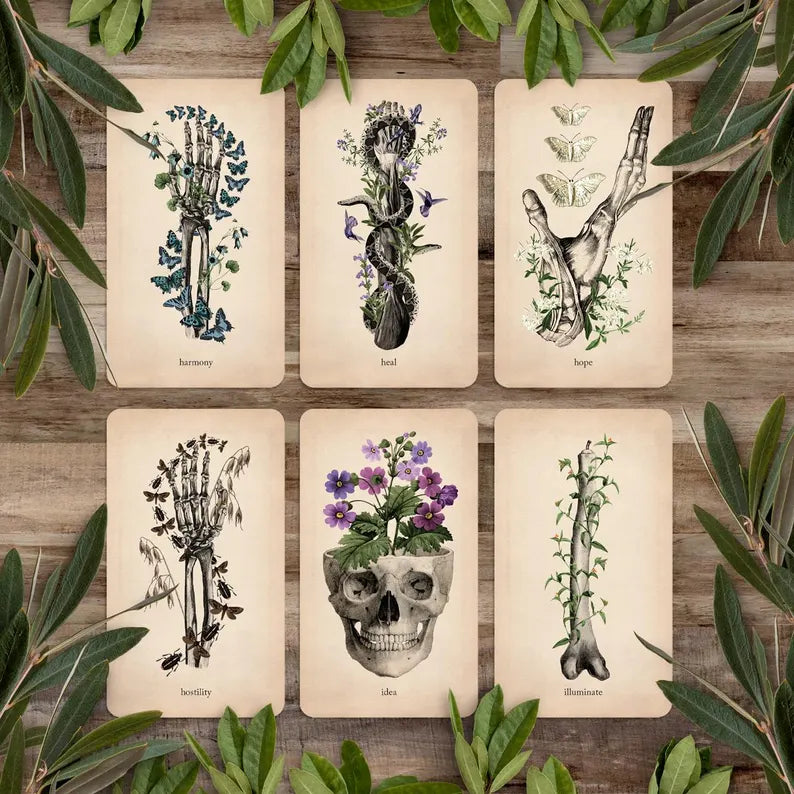 Oracle of Oddities: Oracle Deck