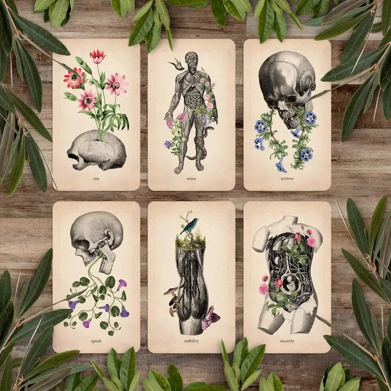 Oracle of Oddities: Oracle Deck
