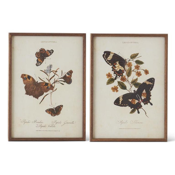 Moth Prints w/ Brown Frames