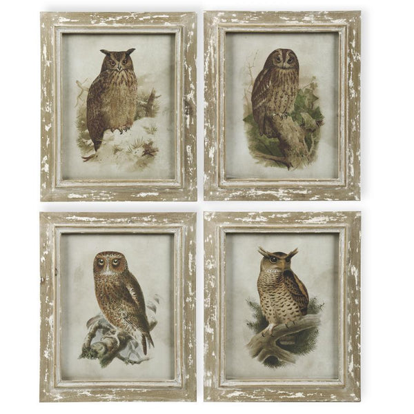 Distressed Wood Framed Owl