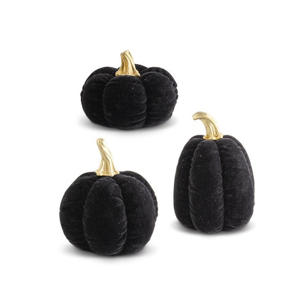 Black Velvet Pumpkins w/Gold Stems