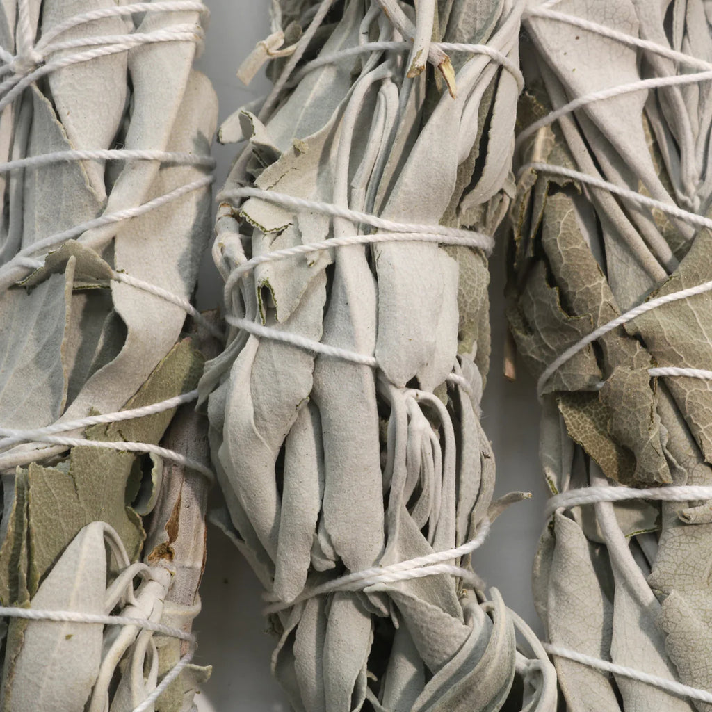 White Sage Cleansing Stick - 4” Long
