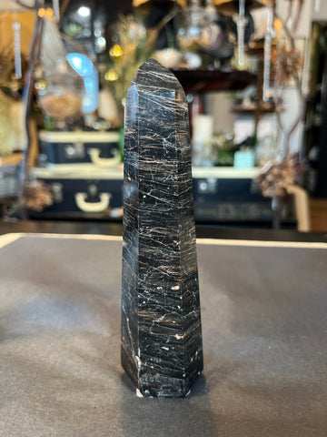 Black Tourmaline w/ Hematite Generator #5