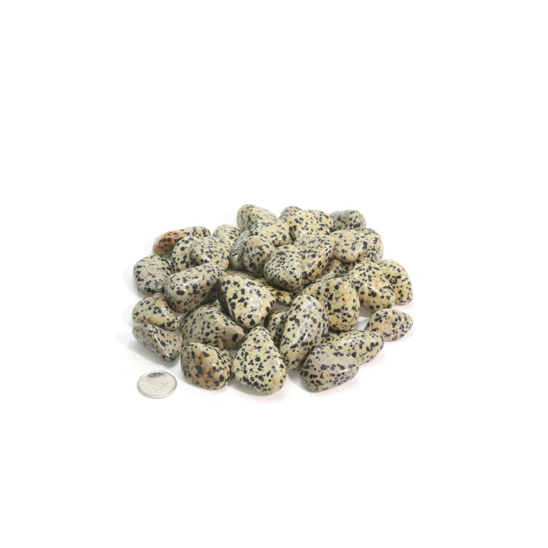 Dalmatian Jasper Tumbled Stone – Joy & Playful Grounding Healing Crystal