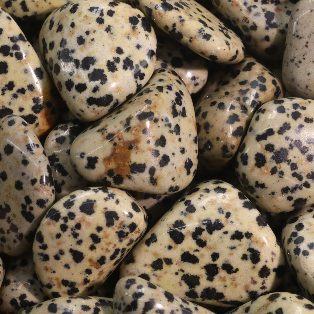Dalmatian Jasper Tumbled Stone – Joy & Playful Grounding Healing Crystal