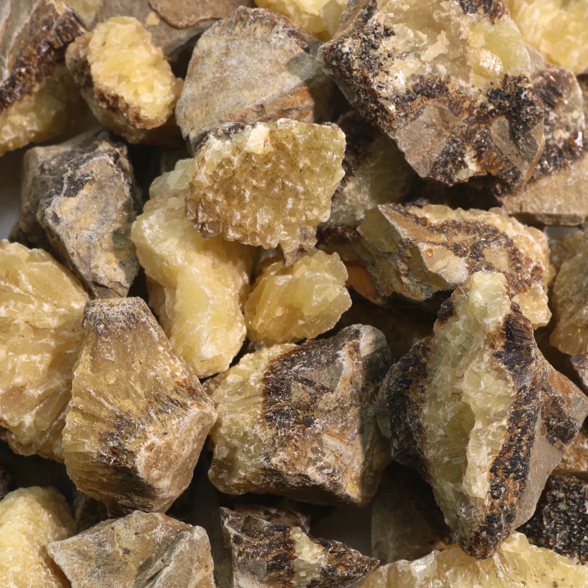 Septarian Rough Stone – Grounding & Nurturing Earth Healing Crystal