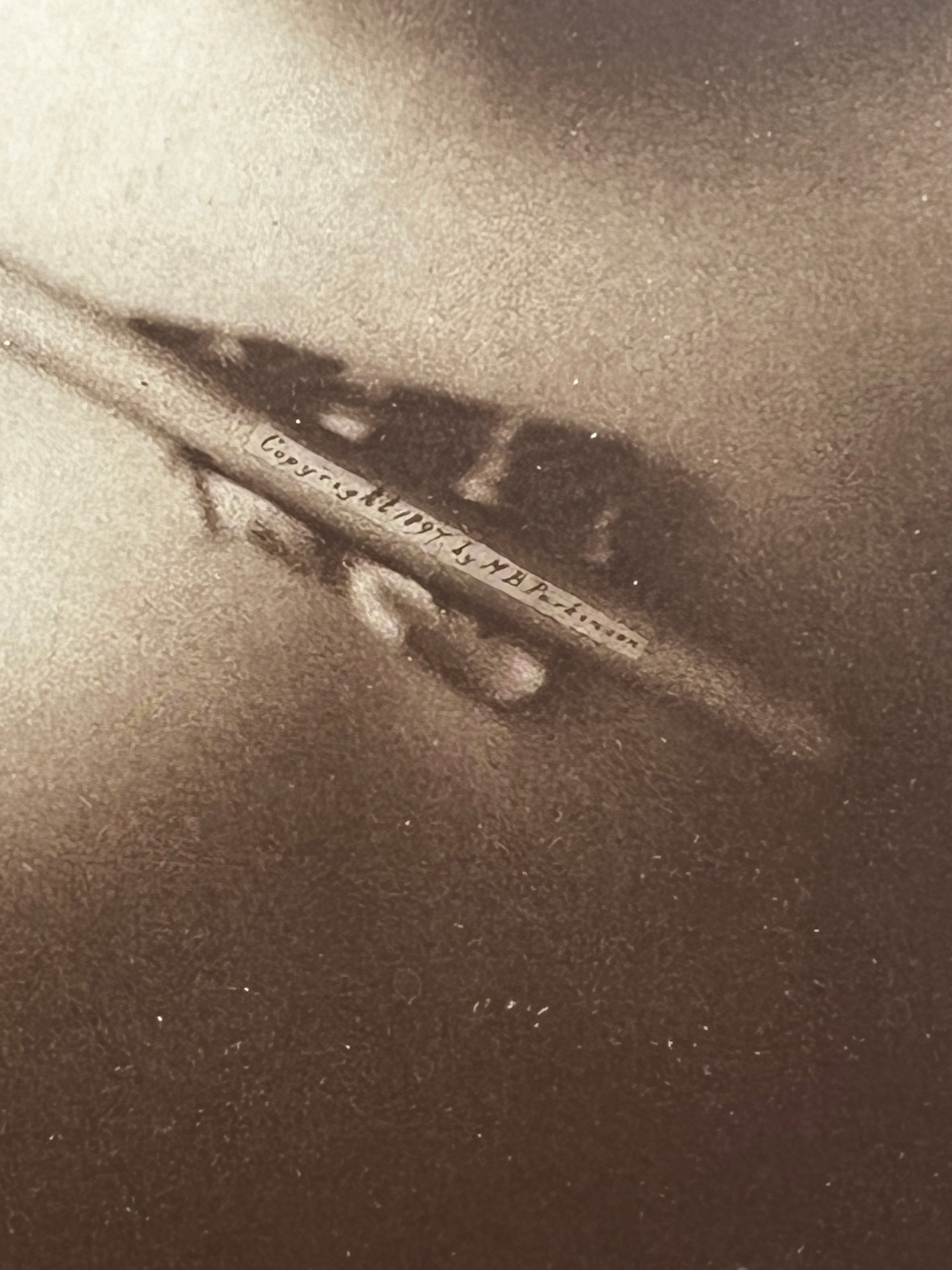 Cupid Awake