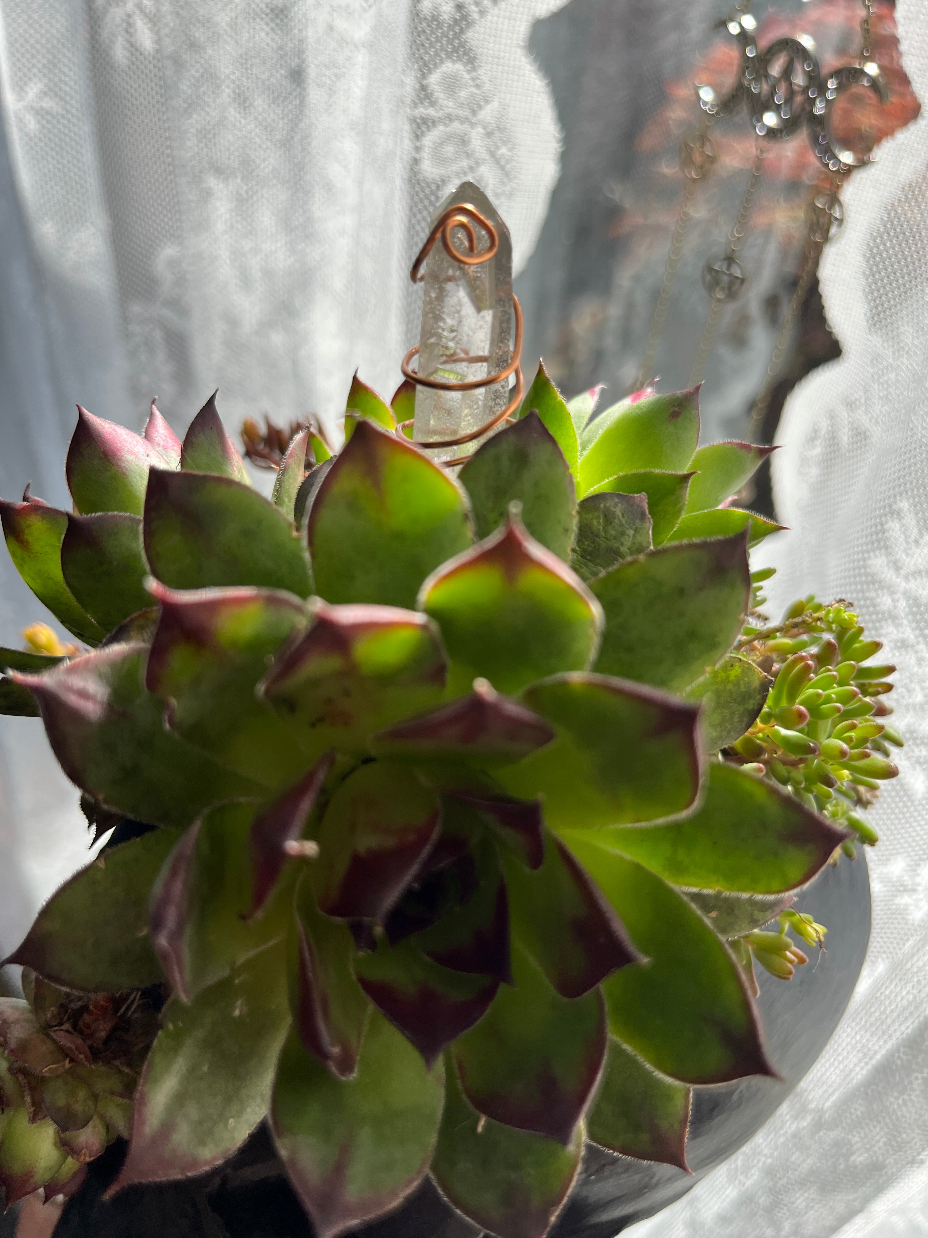Skull Planter