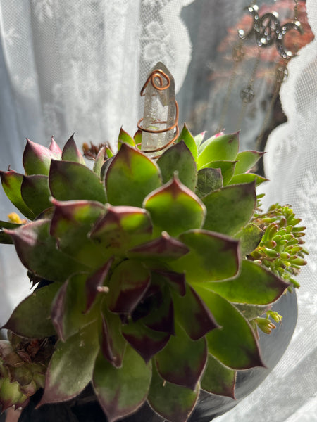 Skull Planter