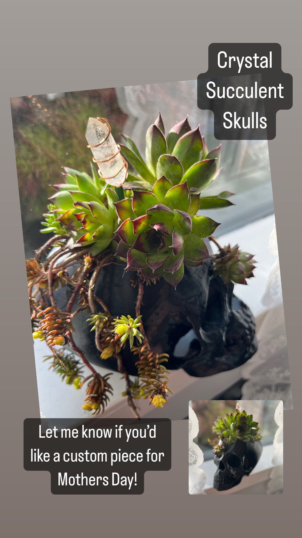 Skull Planter