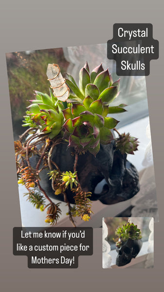 Skull Planter