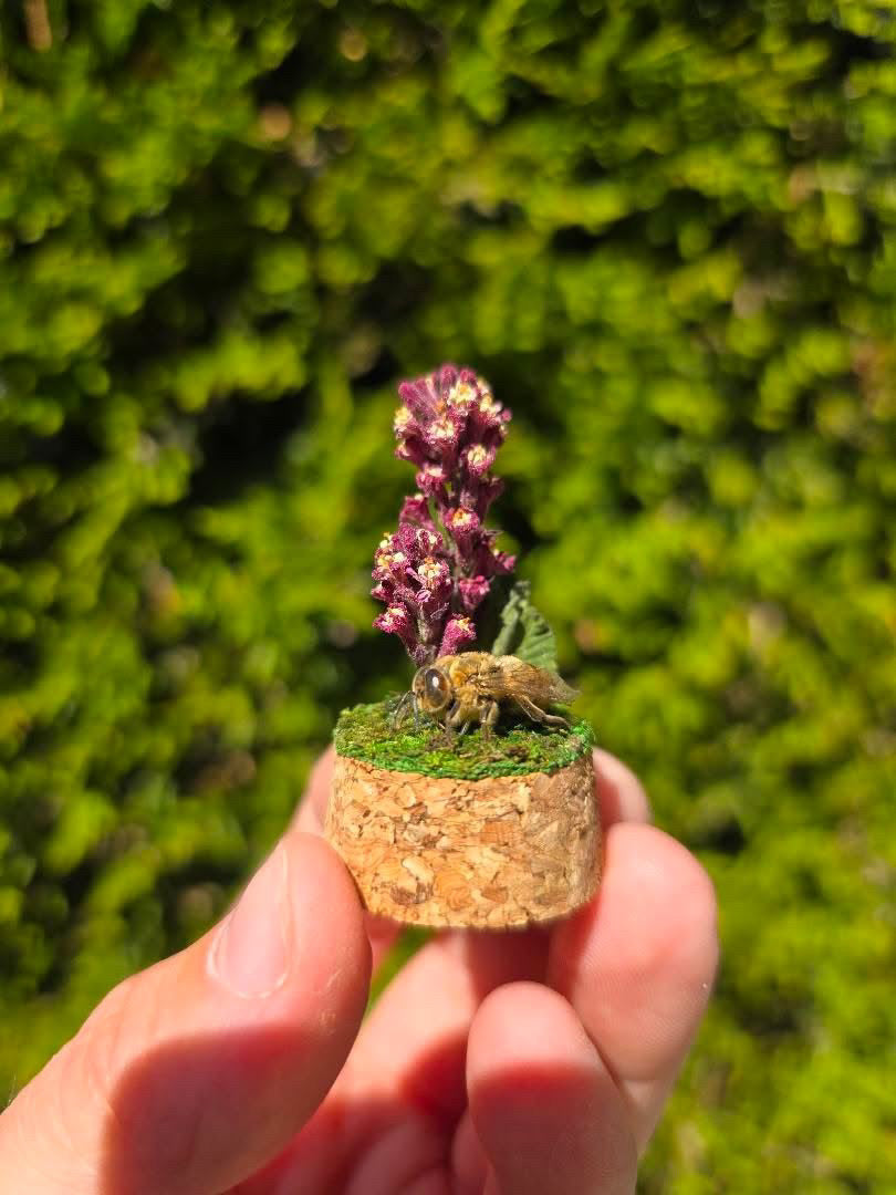 Dead Petal Studio – Bee Specimen