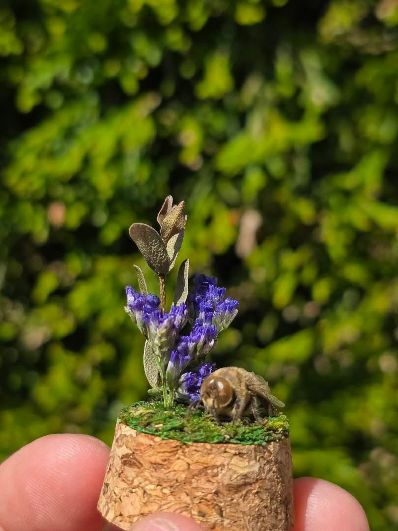 Dead Petal Studio – Bee Specimen