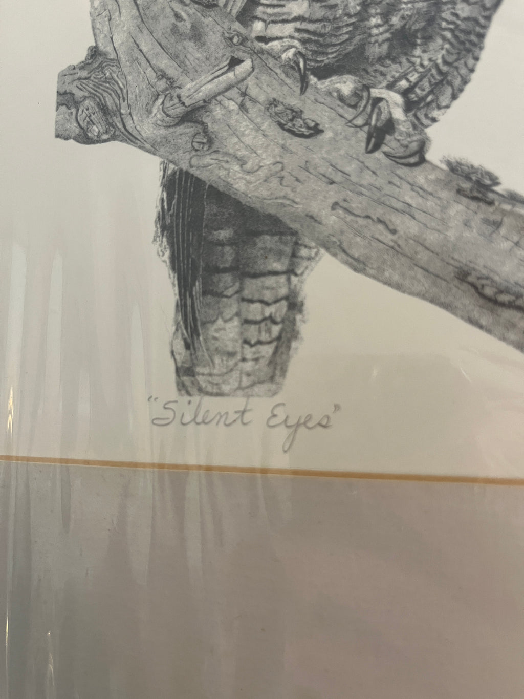 “Silent Eyes” Great Horn Owl by Sheila Butler