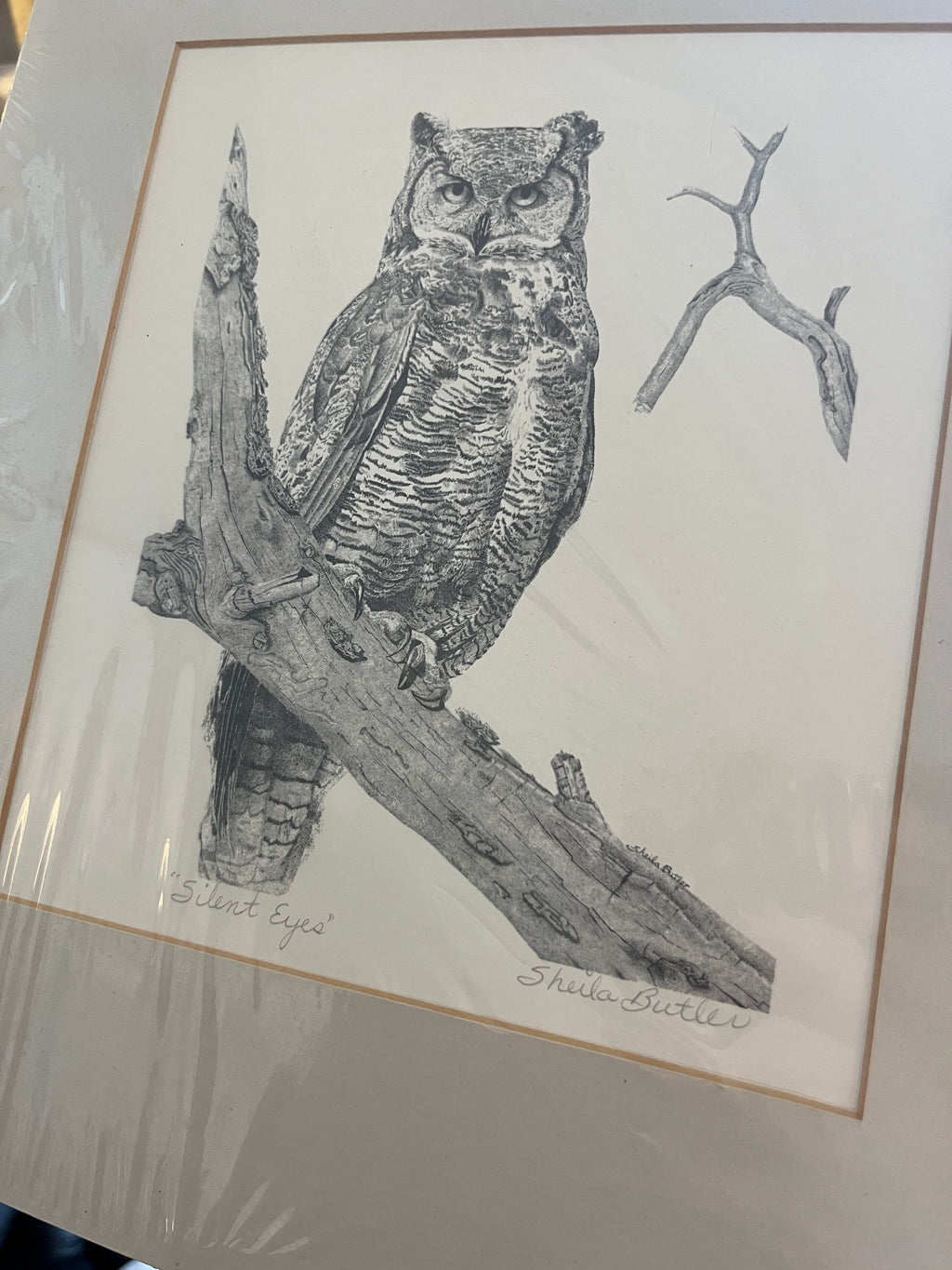 “Silent Eyes” Great Horn Owl by Sheila Butler
