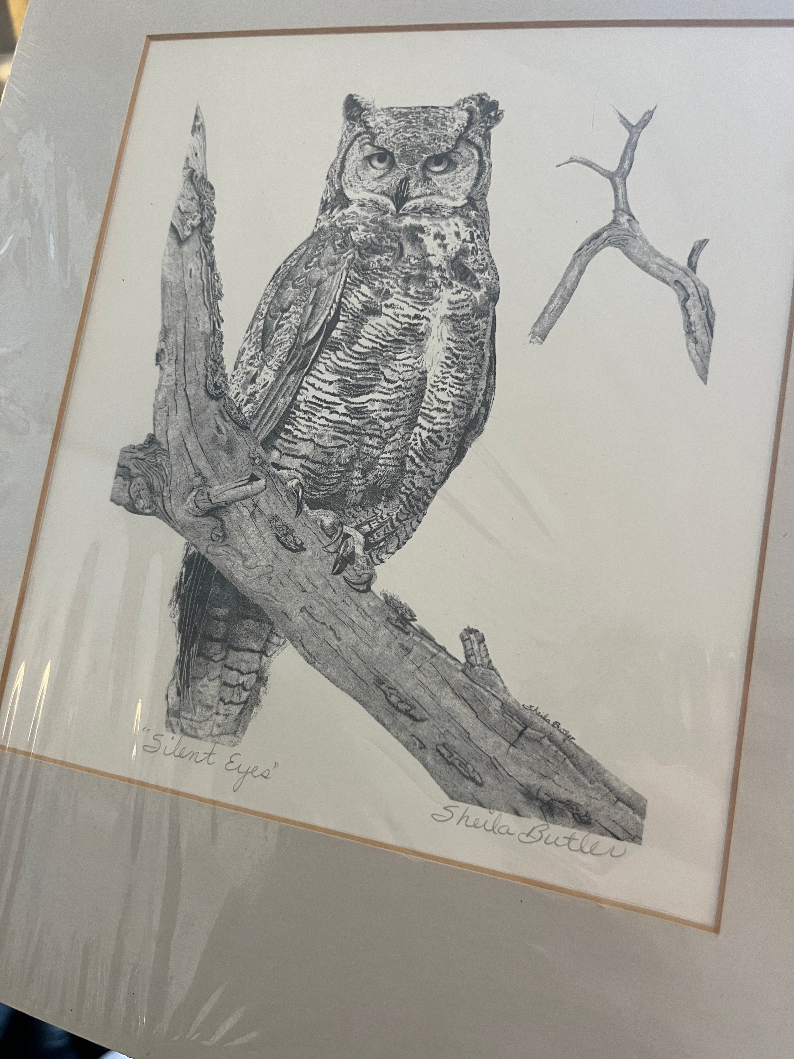 “Silent Eyes” Great Horn Owl by Sheila Butler