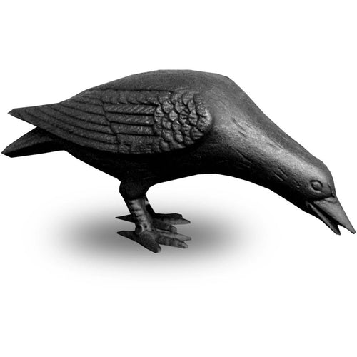 Cast Iron Crow