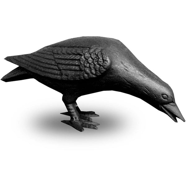Cast Iron Crow