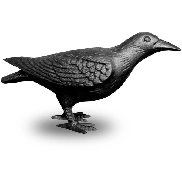 Cast Iron Crow