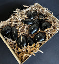 Black Obsidian Palm Stone – Protection & Truth Healing Crystal