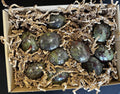 Dragon Blood Jasper Palm Stone – Strength & Heart Healing Crystal